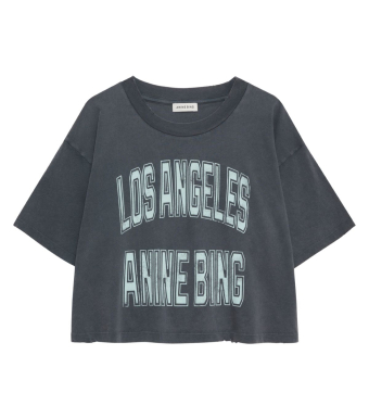 Anine Bing Johnny Cropped Tee, Washed Grey