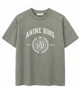 Anine Bing Jaylin Tee Collegiate, Washed Sage