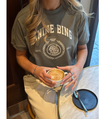 Anine Bing Jaylin Tee Collegiate, Washed Sage