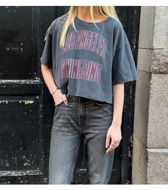 Anine Bing Johnny Cropped Tee, Washed Black